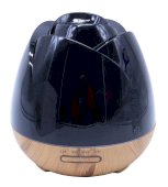 HE Wild Rose Diffuser 18cm